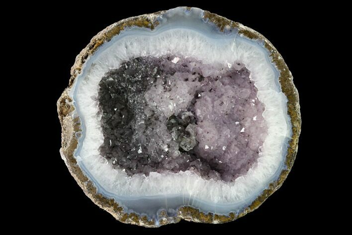 Las Choyas Coconut Geode Half with Amethyst & Agate - Mexico #145872